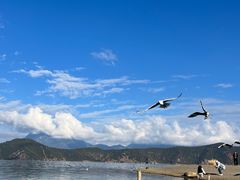 -丽江泸沽湖景区