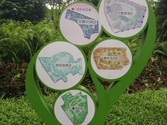 -东风公园