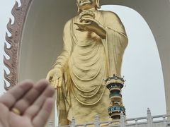 -庐山风景名胜区-东林大佛