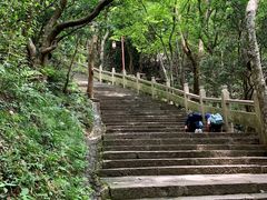 -普陀山风景区-佛顶山