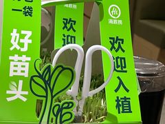 -海底捞火锅(正大乐城店)