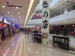 -沈阳HAI乐园
