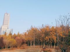 -如花大师咖啡·