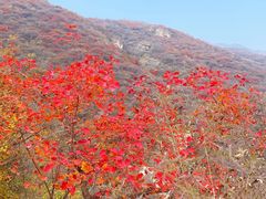 -周口店坡峰岭风景区
