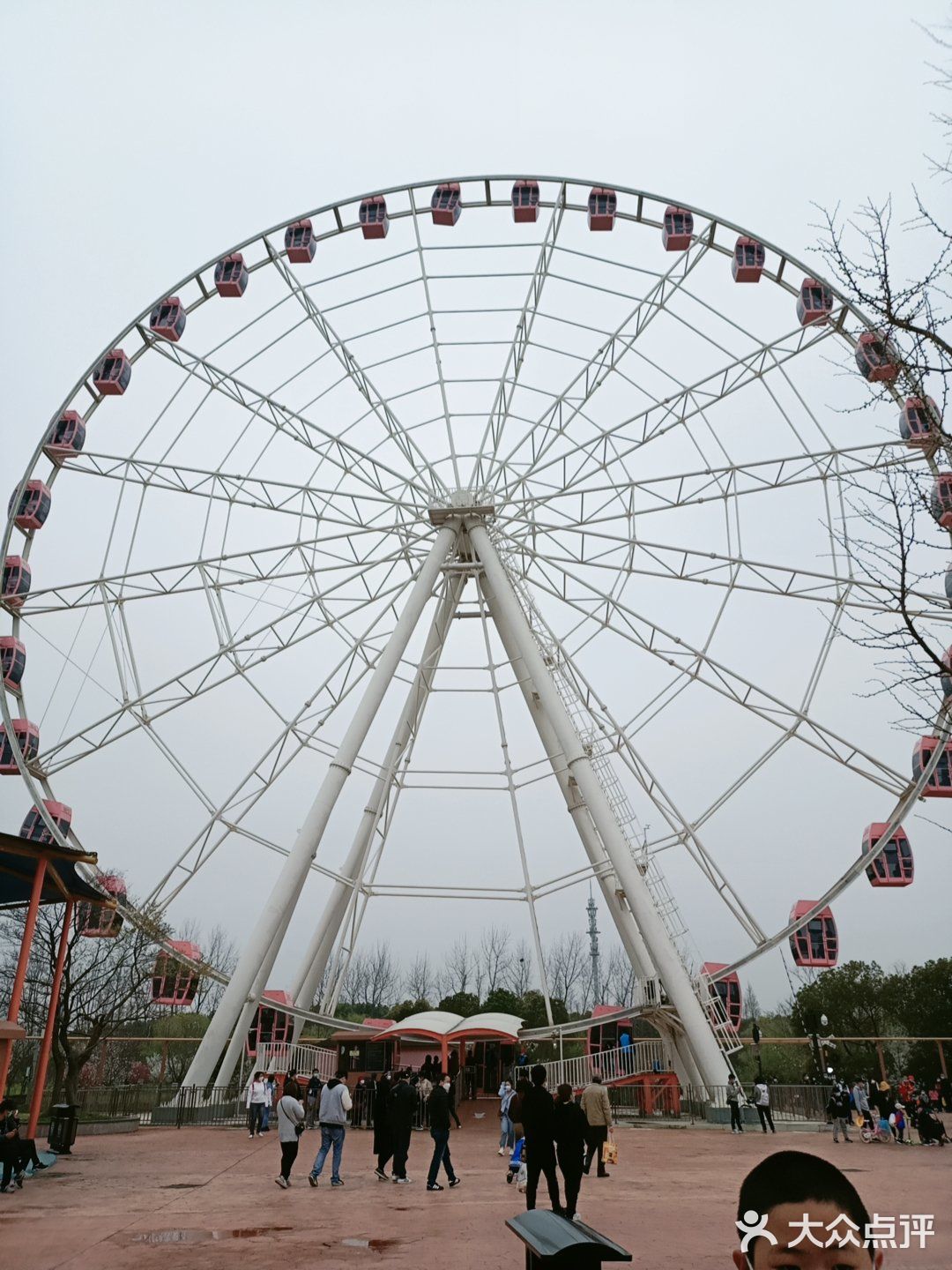 又是櫻花盛開的季節了每年這個時候應該是顧村公園人最