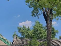 -恭王府博物馆