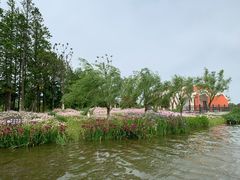 -上海长兴岛郊野公园