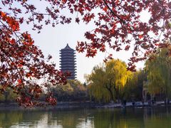 -小八仙·宴(三峡茶庄店)