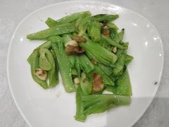 -鹅城