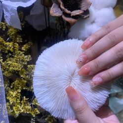 点击看大图 -1R日式轻奢美睫美甲翘睫