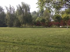 -瀛海足球主题公园