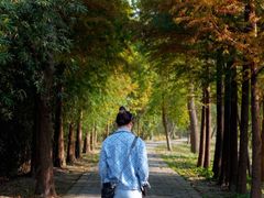 -溱湖国家湿地公园