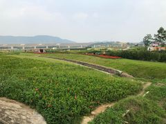 -光明小镇欢乐田园