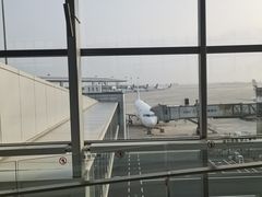 -青岛胶东国际机场