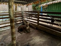 -广州锦绣香江度假别墅(官方直营店)