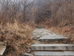 -阳台山自然风景区