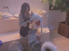 -Husky Go! 哈士奇体验馆·宠物咖啡厅狗咖