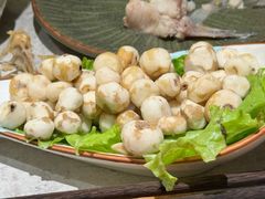 -鲜潭蒸汽石锅鱼(五道口购物中心店)