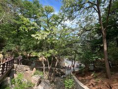 -北京西山国家森林公园