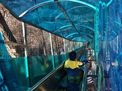 -王顺山国家森林公园