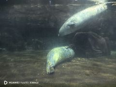 -福州罗源湾海洋世界旅游区