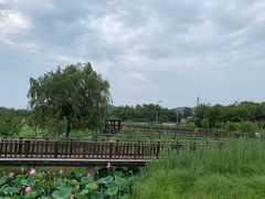 -羊亭河湿地公园