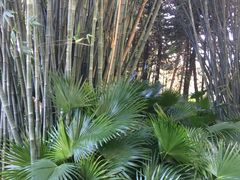 -晓港公园
