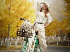 -长白岛森林公园