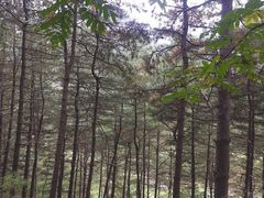 -北京密云天门山风景区