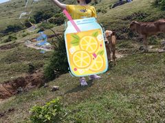 -大姆山草场