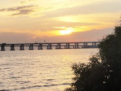 -宝安西湾红树林湿地公园