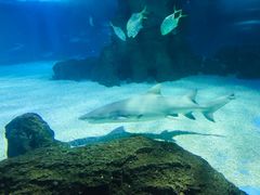 -常州海昌海洋探索馆