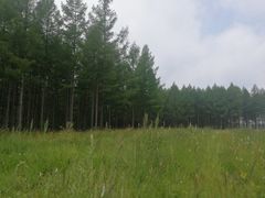 -塞罕坝国家级自然保护区