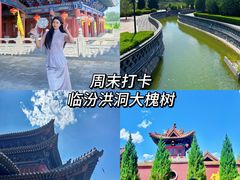 -大槐树寻根祭祖园