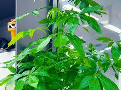 -新东方斯芬克艺术留学作品集培训(郑州校区)