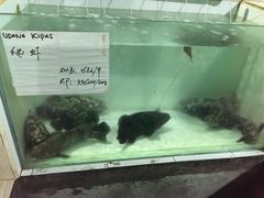 -海盗餐厅