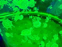 -南昌融创海世界