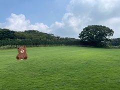 -济州森林小火车生态公园