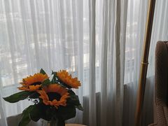 -南京维景国际大酒店(南京博物院店)