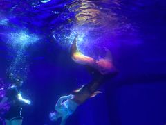 -常州海昌海洋探索馆