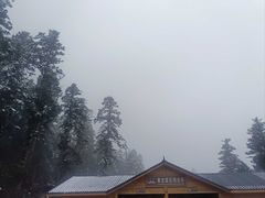 -黄龙山原始森林景区
