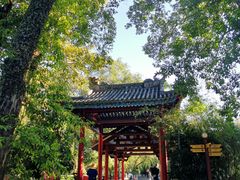 -国恩寺
