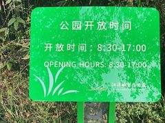 -西湖风景区-江洋畈生态公园