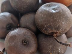 -庆岭迎宾园正宗活鱼馆