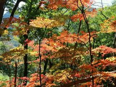 -丹东天桥沟景区