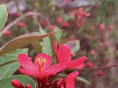 -白石龙音乐公园