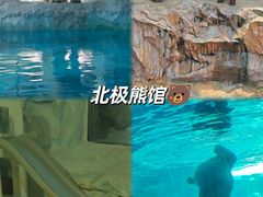 -珠海长隆海洋王国