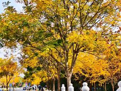 -浙江大学(紫金港校区)