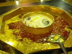 -蜀九香火锅(彩虹店)