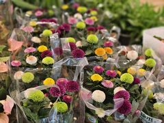 -双季花艺园艺市场(浦东店)